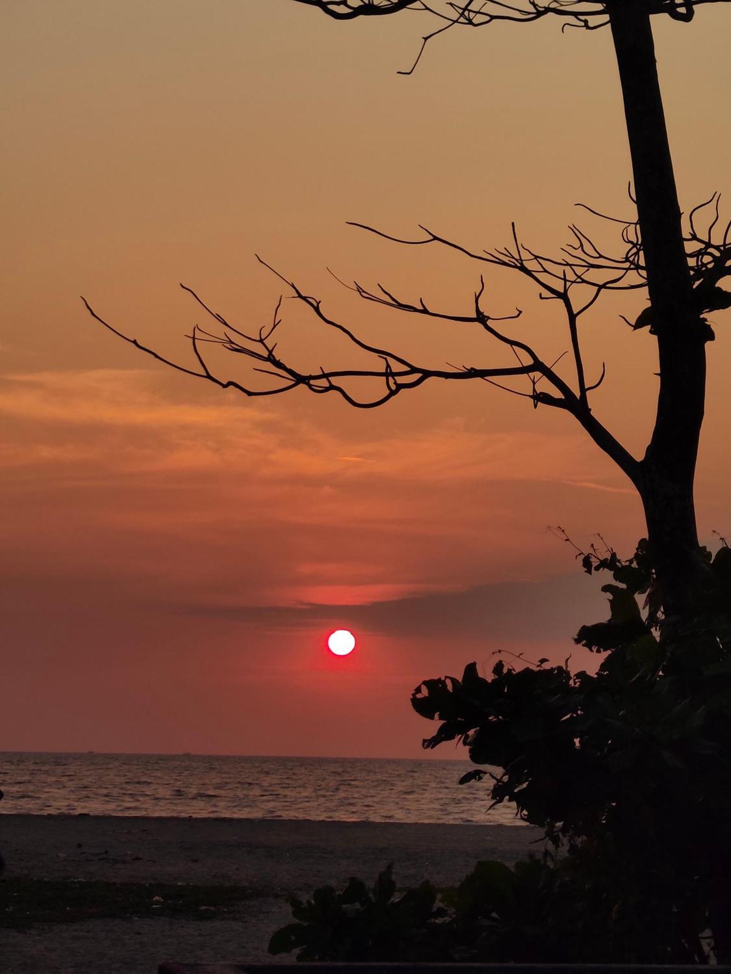 Jeehaa Homestay Alappuzha Zewnętrze zdjęcie